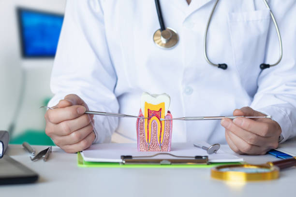 Best Broken or Chipped Tooth Repair in Melbourne Beach, FL
